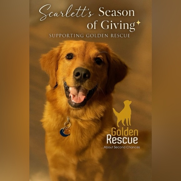 Elegant Women’s Watch with a Magical Twist 🎉 $5 Finds – Clearance Section 🎉 - Picture 3 of 3